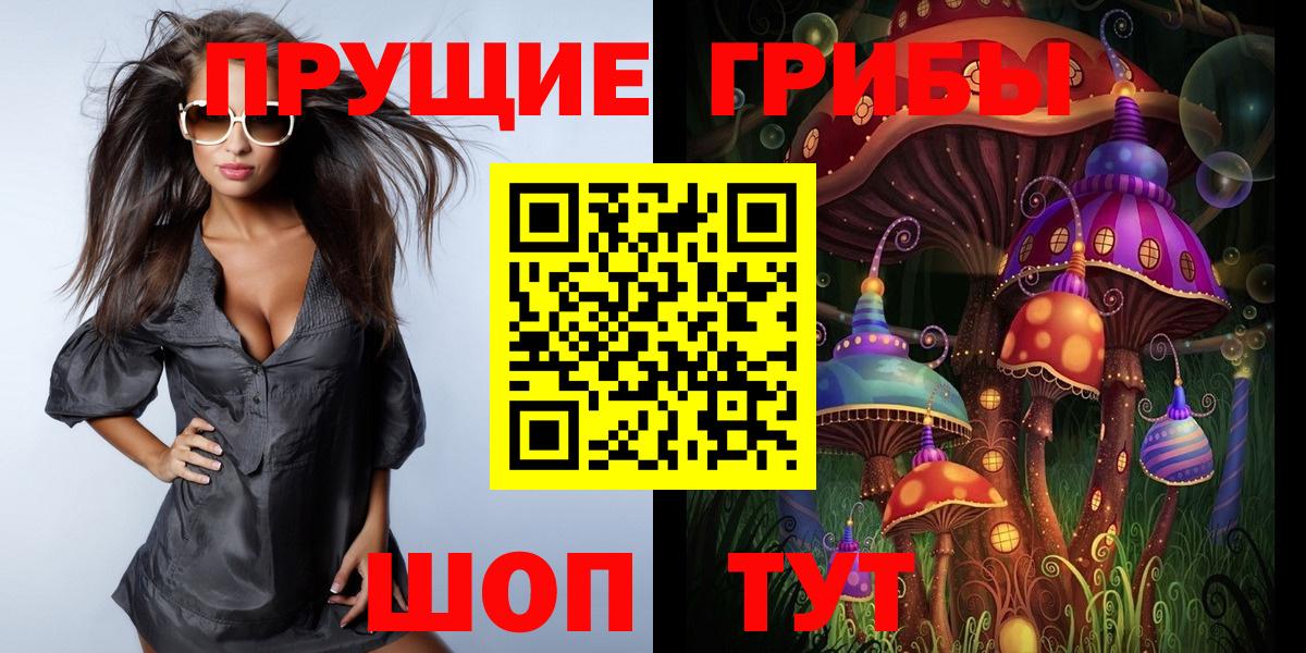где можно купить   Галлюциногенные грибы Magic Shrooms  Пушкино  Вход с VPN  Галлюциногенные грибы Psilocybine cubensis 